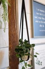 Load image into Gallery viewer, Leather Plant Hanger