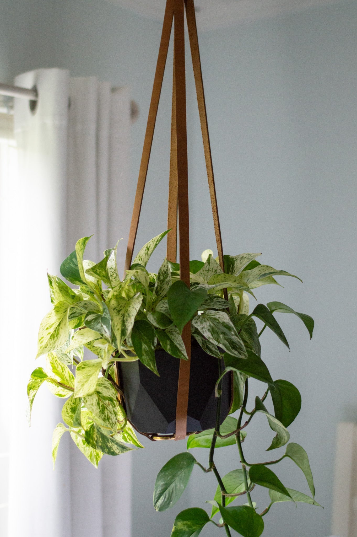 plant hanger leather Leather Plant Hanger – COAH