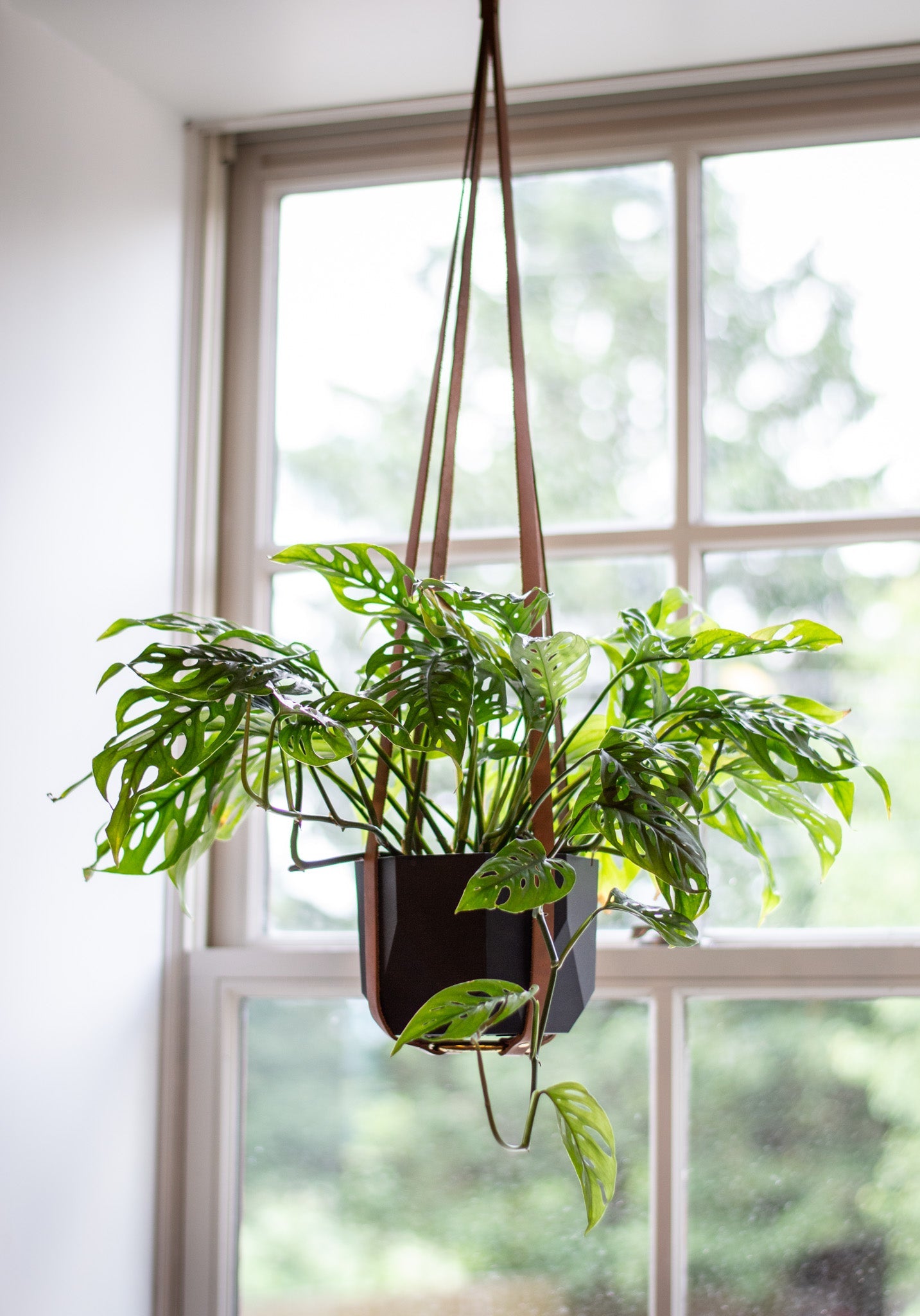 leather plant hanger Leather Plant Hanger – COAH